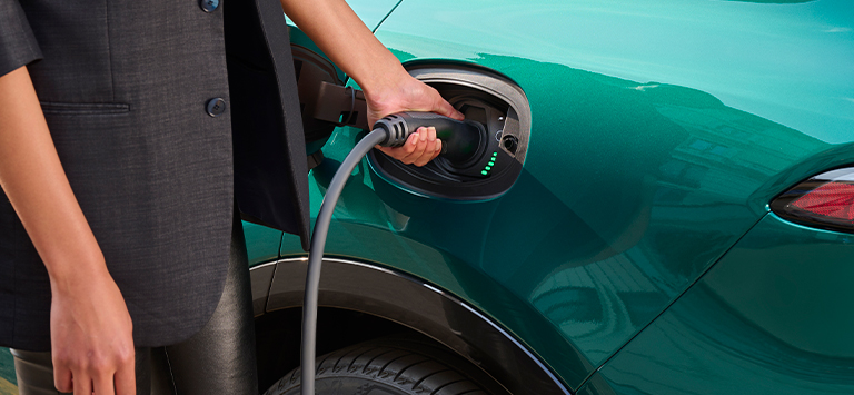 Alfa romeo gallery exterior 4